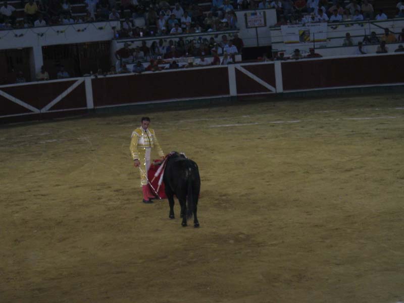 Bull-Fight-056